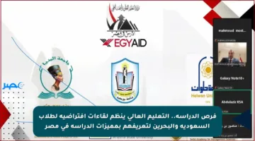 فرص الدراسة.. التعليم العالي ينظم لقاءات افتراضية لطلاب السعودية والبحرين لتعريفهم بمميزات الدراسة في مصر